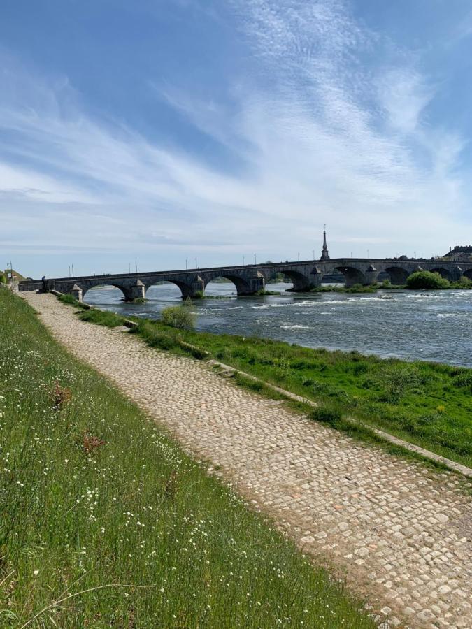 T2 - Au calme RoyaLoire - château à vue - luxe, rénové 2022 Blois Esterno foto
