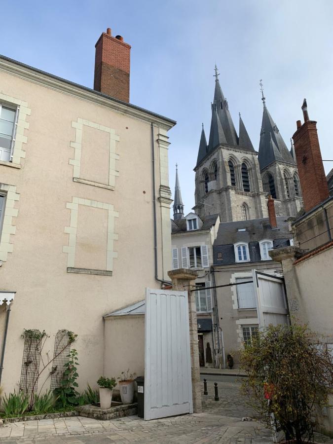 T2 - Au calme RoyaLoire - château à vue - luxe, rénové 2022 Blois Esterno foto